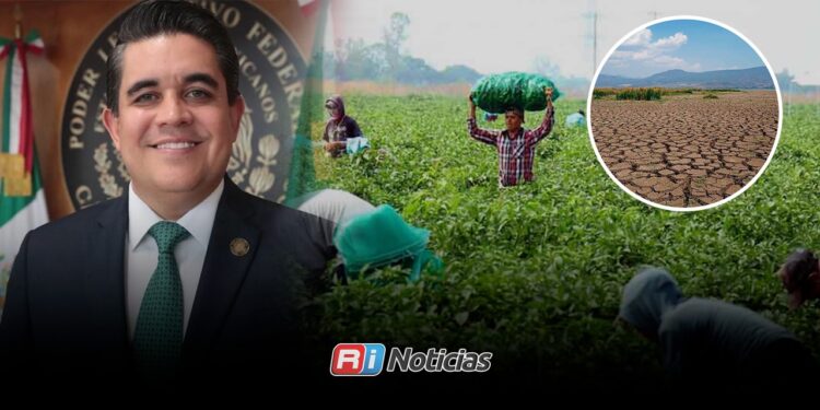 Ricardo Madrid gestiona apoyos para el campo de Sinaloa ante sequía, crisis agrícola