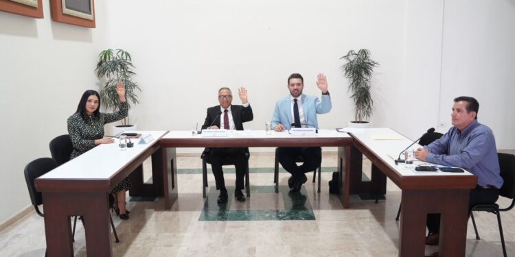 Comisión de Justicia analiza iniciativas para sancionar delitos cometidos con inteligencia artificial y proteger a personas con discapacidad