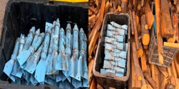 Asegura Ejército 110 explosivos presuntamente adaptados para drones en la sierra entre Sinaloa y Durango