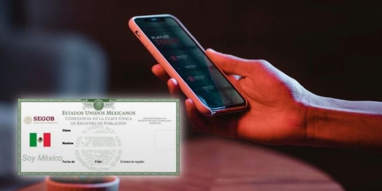 Registro de líneas telefónicas con CURP: quiénes deberán hacerlo y quiénes quedan exentos