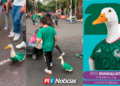 La peculiar historia de Merlín, el Pato mundialista que se hizo viral: cómo surgió, qué come y de dónde es