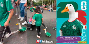 La peculiar historia de Merlín, el Pato mundialista que se hizo viral: cómo surgió, qué come y de dónde es