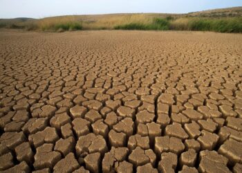 ONG alerta sobre el impacto de la crisis climática en México durante el Mundial