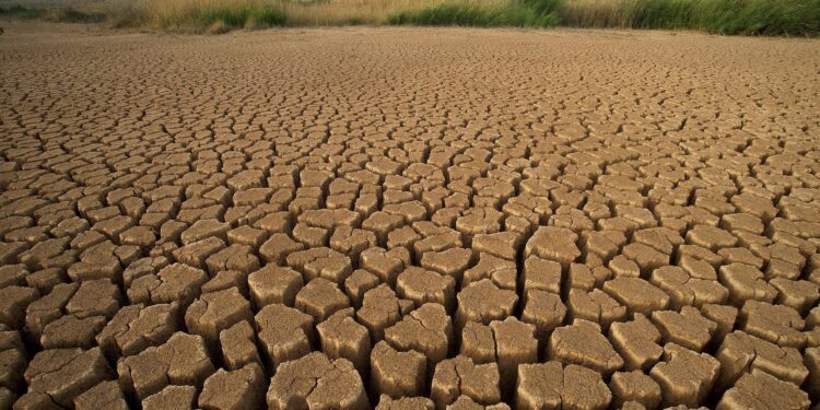 ONG alerta sobre el impacto de la crisis climática en México durante el Mundial