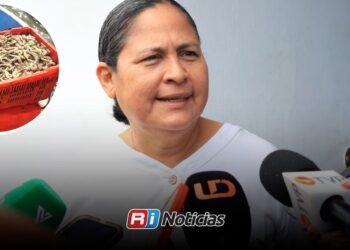 Desconoce alcaldesa de Mazatlán asaltos y despojo de cargamentos de camarón