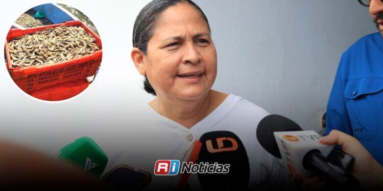 Desconoce alcaldesa de Mazatlán asaltos y despojo de cargamentos de camarón