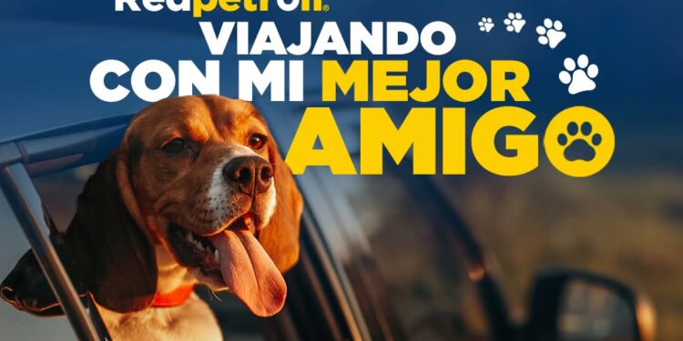 Redpetroil aclara caso de perro trasladado de una estación y reitera su compromiso con el bienestar animal