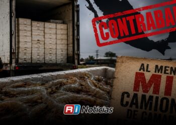 Consejo de Pesca denuncia ingreso de al menos mil camiones de camarón de contrabando al año en México
