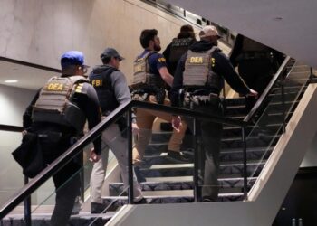DEA urge a México a integrarse al Escudo de las Américas, la coalición militar con EU contra los cárteles