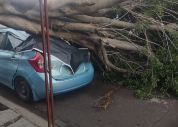 Atiende Ayuntamiento de Culiacán afectaciones por lluvias y fuertes vientos con operativo permanente