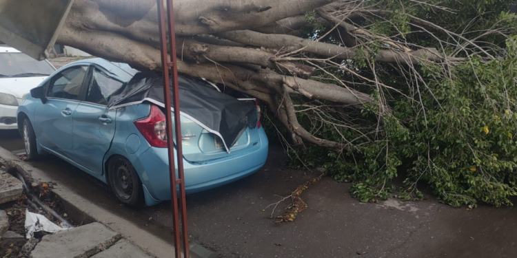 Atiende Ayuntamiento de Culiacán afectaciones por lluvias y fuertes vientos con operativo permanente