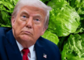Trump amenaza con imponer un arancel a la lechuga mexicana por brote de Cyclospora; México asegura que pruebas resultaron negativas
