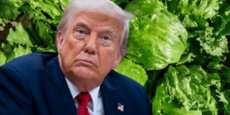 Trump amenaza con imponer un arancel a la lechuga mexicana por brote de Cyclospora; México asegura que pruebas resultaron negativas