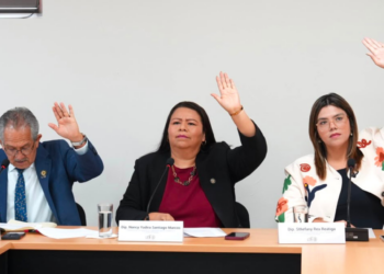 Aprueban dictamen que obliga a elaborar Plan de Desarrollo con visión de largo plazo