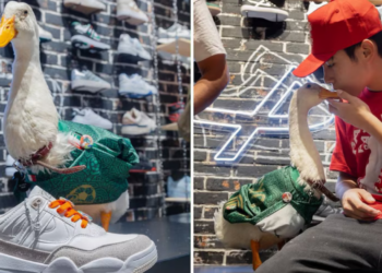 Pato Merlín conquista la moda con colección de tenis y videojuego tras su éxito en el Mundial 2026