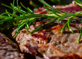 Reapertura del ganado mexicano a EU podría influir en precios de la carne de res tras más de un año de cierre comercial