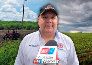 Agua suficiente, pero mercados ponen en riesgo siembras de Sinaloa:CNC
