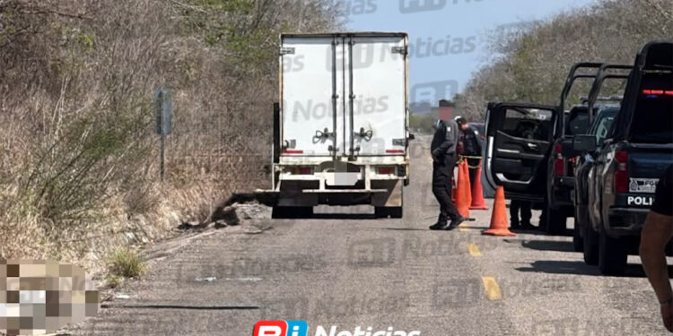 Hallan a una persona sin vida a un costado del camino hacia Mármol, al norte de Mazatlán