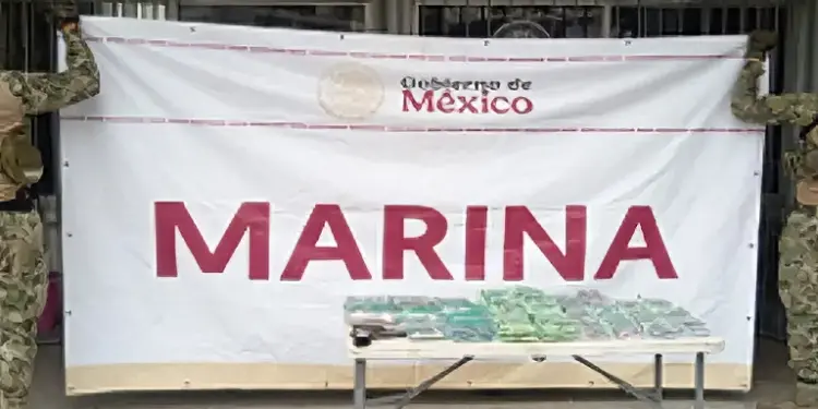 Marina asegura drogas, cartuchos y efectivo durante operativo en el fraccionamiento Casa Blanca, en Mazatlán