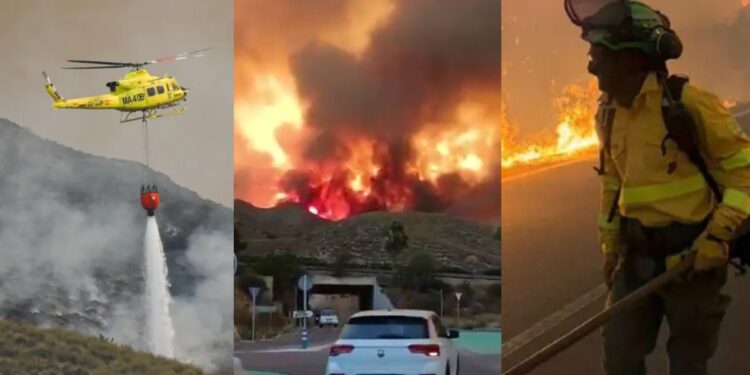 Un devastador incendio forestal en Almería, España, dejó al menos 12 personas fallecidas y 23 desaparecidas