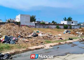 Inconsciencia ciudadana agrava el problema de la basura en el puerto