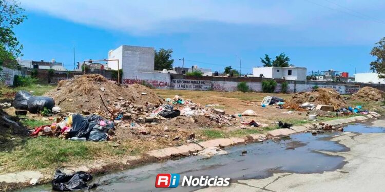 Inconsciencia ciudadana agrava el problema de la basura en el puerto