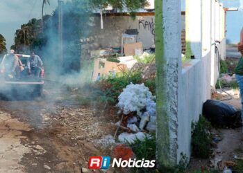 Brigadas fumigan solo contra el dengue, otros zancudos se frenan desde el hogar: Secretaría de Salud