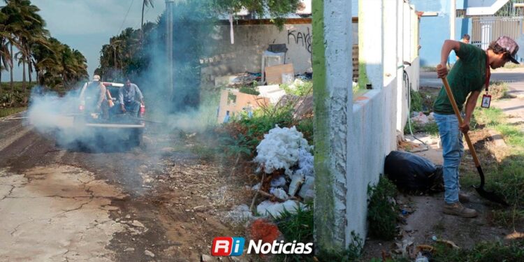 Brigadas fumigan solo contra el dengue, otros zancudos se frenan desde el hogar: Secretaría de Salud