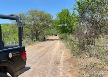 Identifican a las cuatro víctimas ejecutadas en Tepuche; entre ellas había un adolescente de 16 años