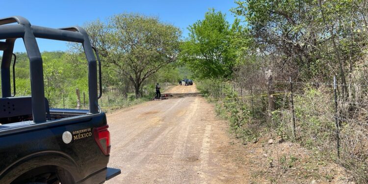 Identifican a las cuatro víctimas ejecutadas en Tepuche; entre ellas había un adolescente de 16 años
