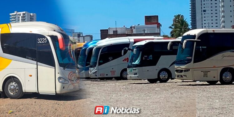 Habrá operativo para evitar multas a autobuses turísticos durante vacaciones