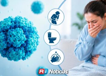 ¿Qué es el Norovirus, Cómo se contagia y Por qué ya provocó más de 100 casos en un crucero en EE.UU.?