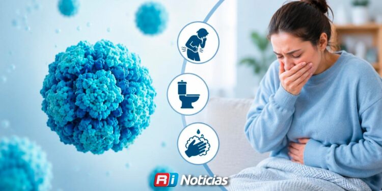 ¿Qué es el Norovirus, Cómo se contagia y Por qué ya provocó más de 100 casos en un crucero en EE.UU.?