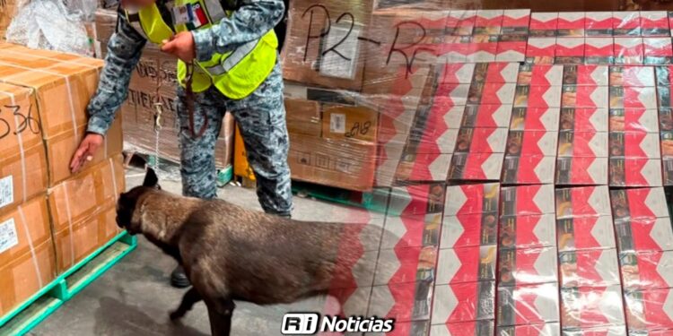 Aseguran cargamento de 60 mil cajetillas de cigarros en el Aeropuerto Internacional Felipe Ángeles