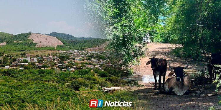 Invitan a turistas a recorrer la zona rural de Mazatlán durante la temporada de lluvias