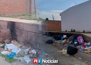 Acumulación de basura genera focos de infección y destrozos por animales en la colonia Jardines de la Rivera