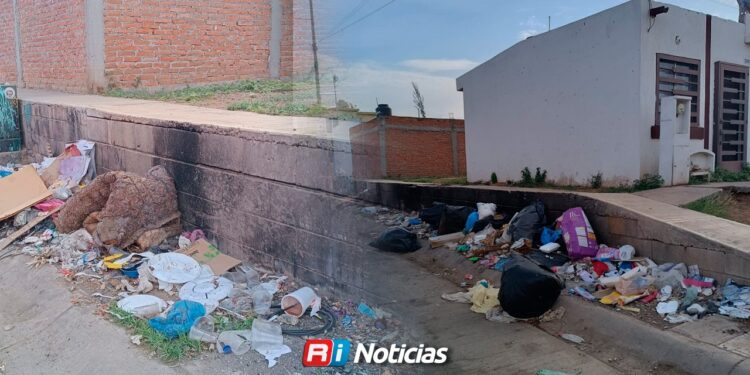 Acumulación de basura genera focos de infección y destrozos por animales en la colonia Jardines de la Rivera
