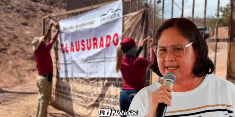 Minerva Osuna asegura que un amparo protege a Mazatlán ante presunta multa de Profepa