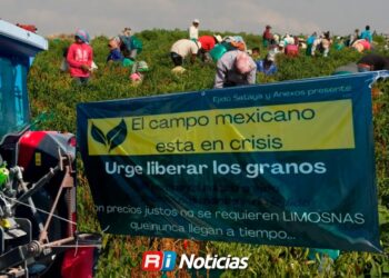COUC advierte que rescatar solo a la agricultura no resolverá la crisis del campo