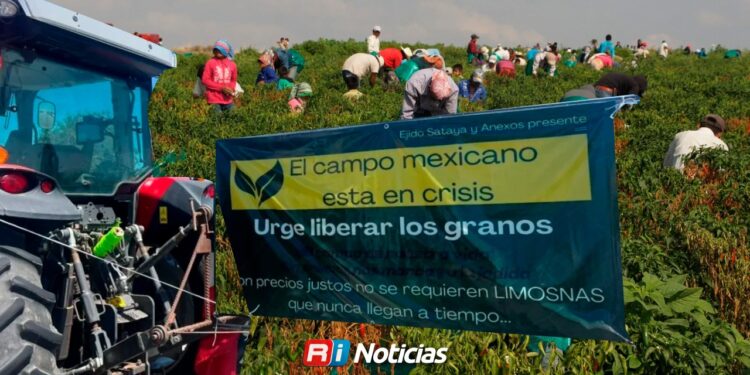COUC advierte que rescatar solo a la agricultura no resolverá la crisis del campo