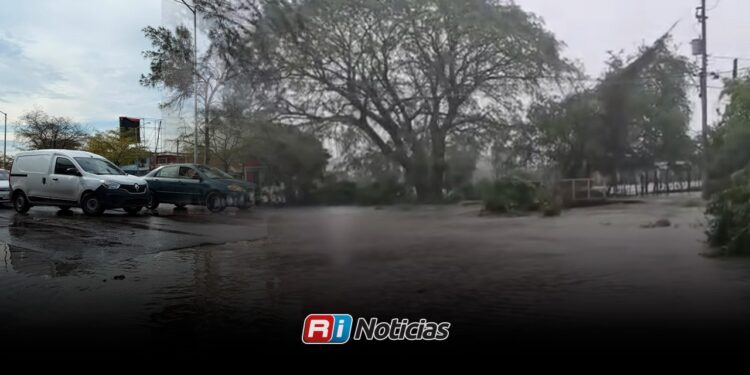 Lluvias no dejaron daños en Mazatlán; reportan únicamente inundaciones menores en Villa Unión
