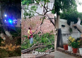 Vientos dejan 10 emergencias en Culiacán: Árboles caídos, lonas desprendidas y daños eléctricos, sin lesionados