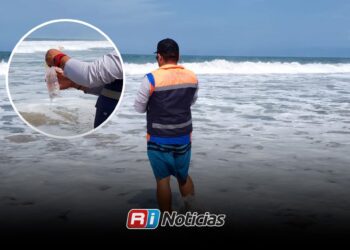 Playas de Sinaloa cumplen normas sanitarias; COEPRISS confirma que 22 zonas son aptas para visitantes
