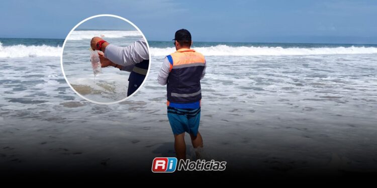 Playas de Sinaloa cumplen normas sanitarias; COEPRISS confirma que 22 zonas son aptas para visitantes