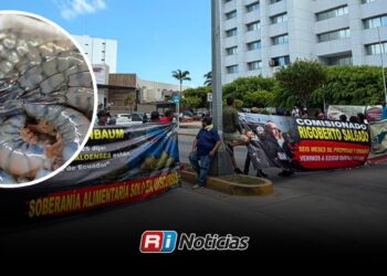 Acuacultores exigen cierre de fronteras al camarón importado