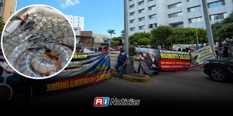 Acuacultores exigen cierre de fronteras al camarón importado