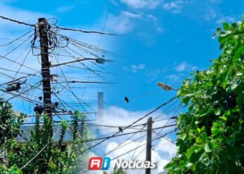 Vecinos del Centro reportan fallas eléctricas y falta de alumbrado por árboles sin podar