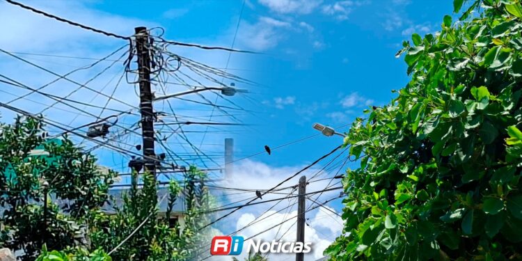 Vecinos del Centro reportan fallas eléctricas y falta de alumbrado por árboles sin podar