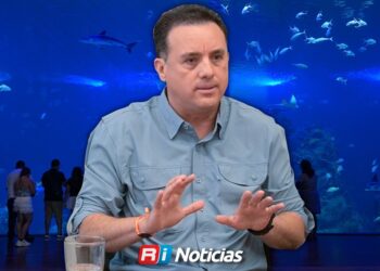 Especialistas destacan a Sinaloa como refugio de tiburones en peligro de extinción
