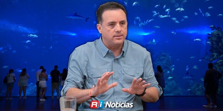 Especialistas destacan a Sinaloa como refugio de tiburones en peligro de extinción